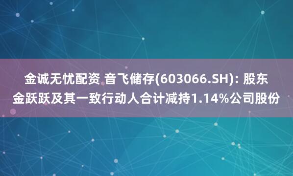 金诚无忧配资 音飞储存(603066.SH): 股东金跃跃及其一致行动人合计减持1.14%公司股份