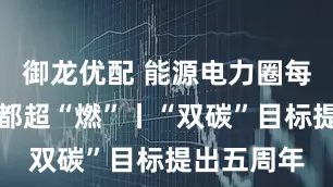 御龙优配 能源电力圈每一个动作都超“燃”丨“双碳”目标提出五周年
