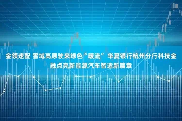 金领速配 雪域高原驶来绿色“暖流” 华夏银行杭州分行科技金融点亮新能源汽车智造新篇章